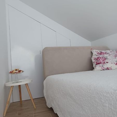Zil - Studio Apartment City Center Ζάγκρεμπ Εξωτερικό φωτογραφία